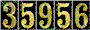 Hit Counter